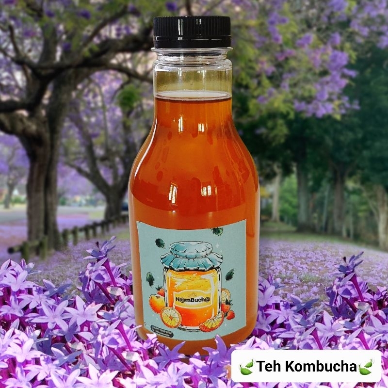 Jual Teh Kombucha 250 Ml Teh Fermentasi Sehat Herbal Shopee Indonesia 2213