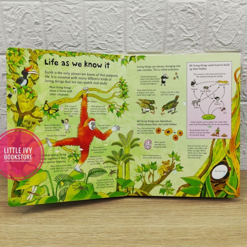 Jual USBORNE See Inside SCIENCE. Lift the flap book. Buku anak import ...