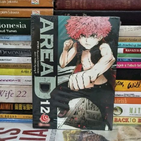 Jual KOMIK ORIGINAL AREAD 12 Kyouichi NANATSUKI BARU SEGEL | Shopee ...