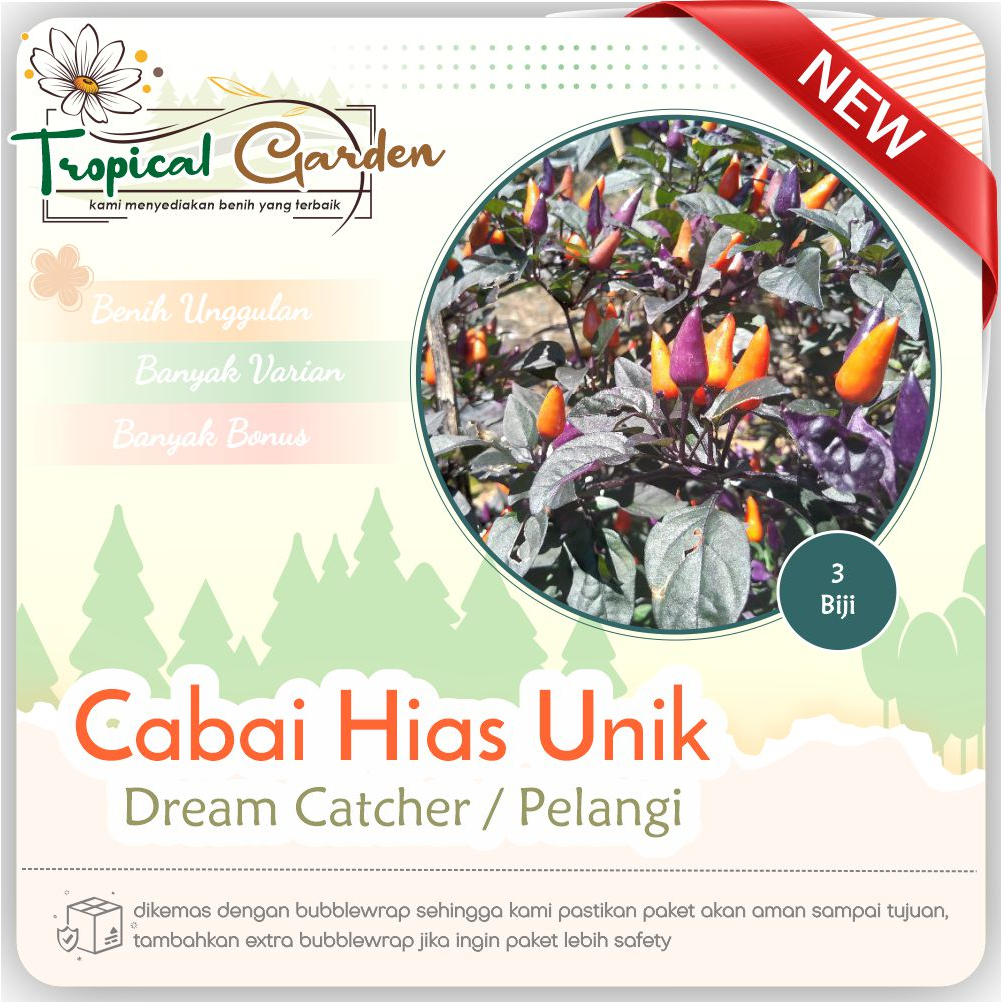 Jual Tropical Garden Benih Biji Cabai Dream Catcher Cabe Pelangi Benih Cabai Hias Cod Shopee