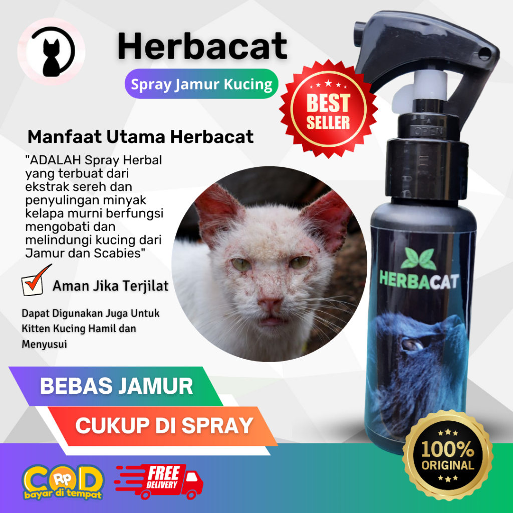Jual Obat jamur scabies kucing Herbacat Spray Ampuh dan Alami aman