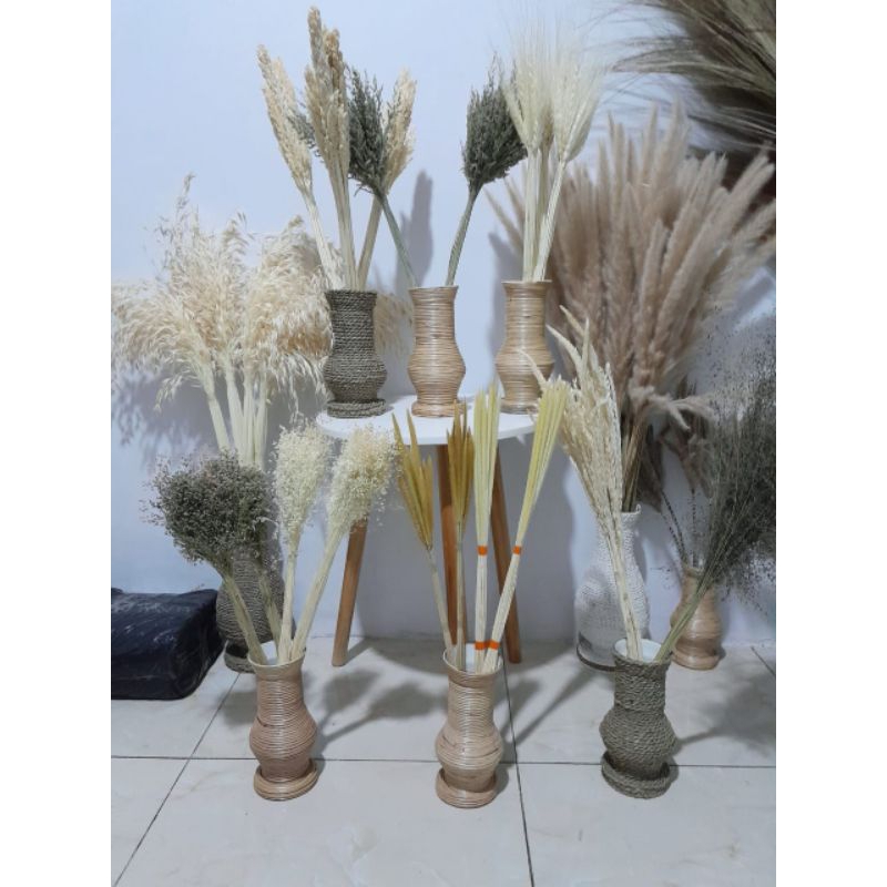 Jual Bunga Padi Terlengkap & Harga Terbaru Juli 2026 | Shopee Indonesia