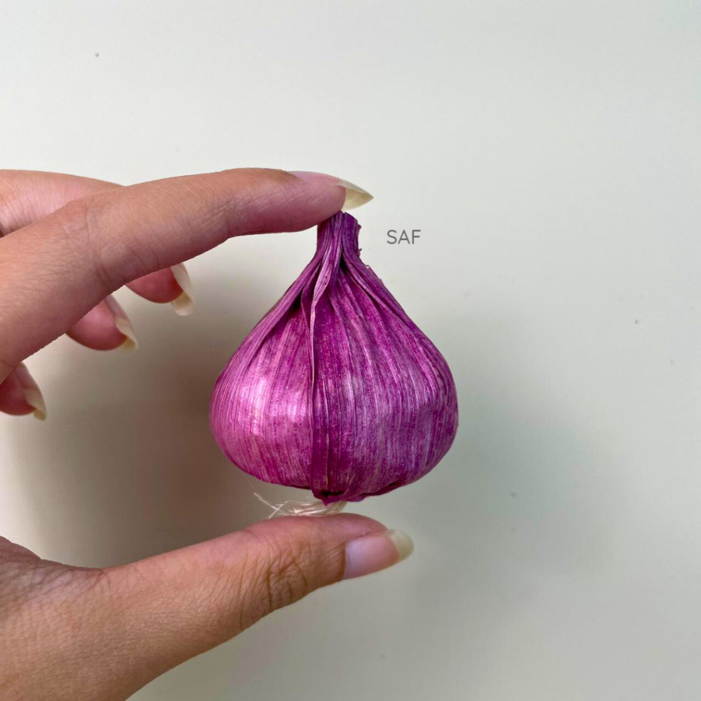 Jual SAF Bawang Merah Bawang Putih Palsu (Fake Garlic) / Buah-buahan ...