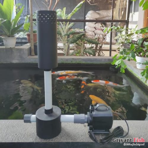 Jual Paket Instalasi Skimmer Kolam Koi I Skimmer Floating Pompa Air
