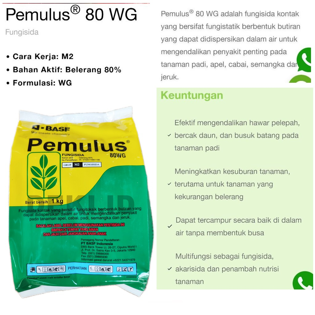 Jual Fungisida Pemulus 80 WG Belerang 80% 50 Gram Kemasan Repack ...