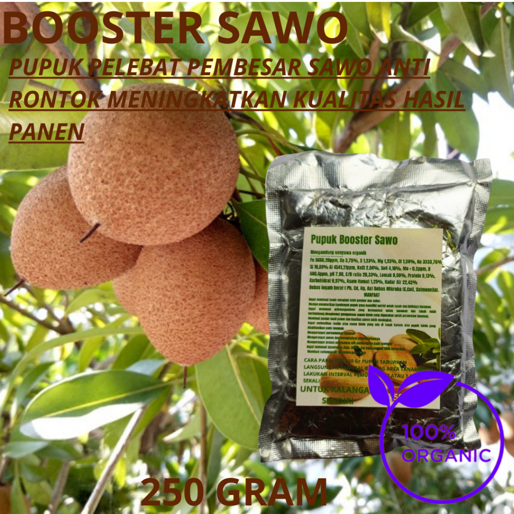 Jual Pupuk Booster Organik Pelebat Buah Sawo Booster Dan Pupuk Perangsang Pohon Sawo Agar Cepat