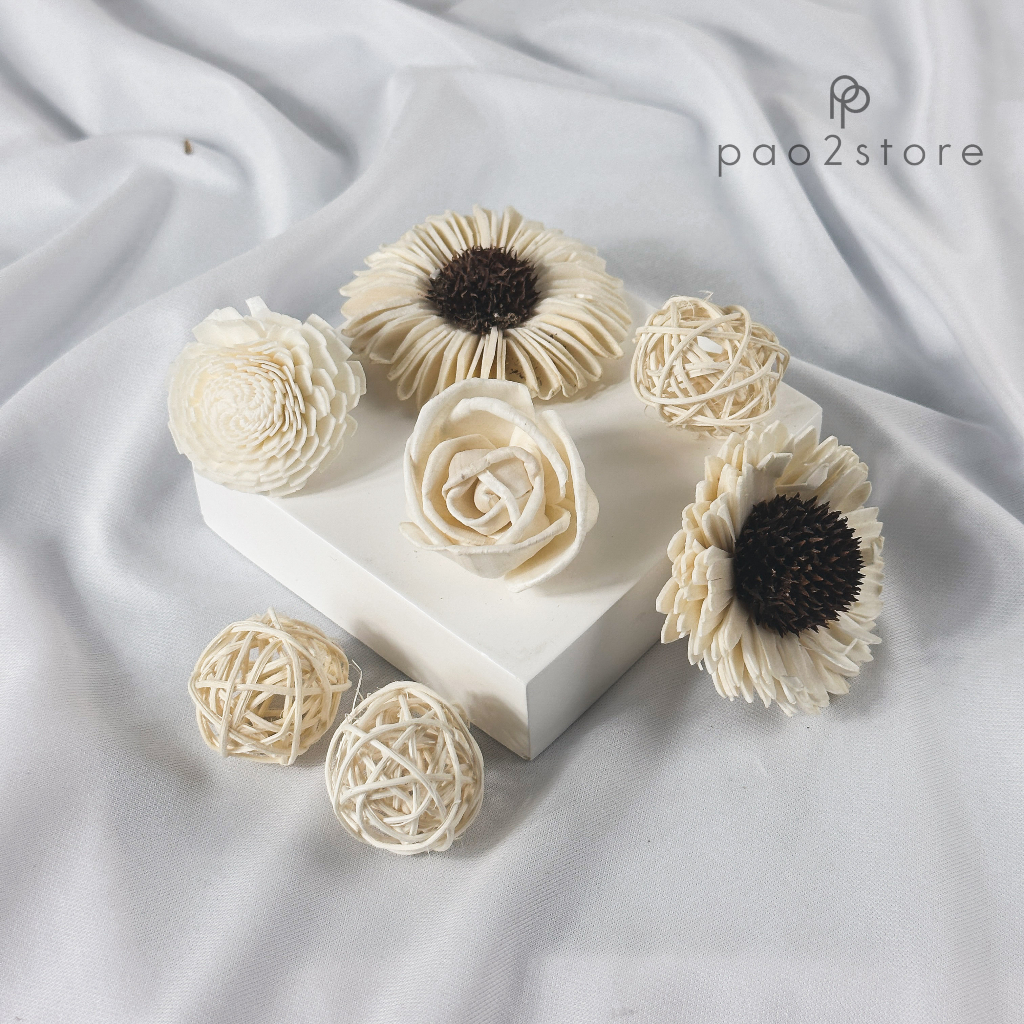 Jual Bunga Reed Diffuser - Sola Flower - Kering / Dried Klobot Wood ...