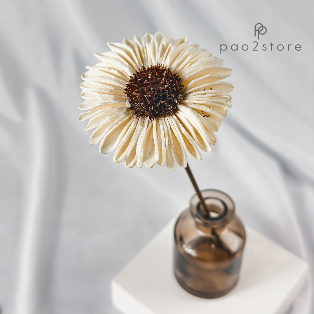 Jual Bunga Reed Diffuser - Sola Flower - Kering / Dried Klobot Wood ...