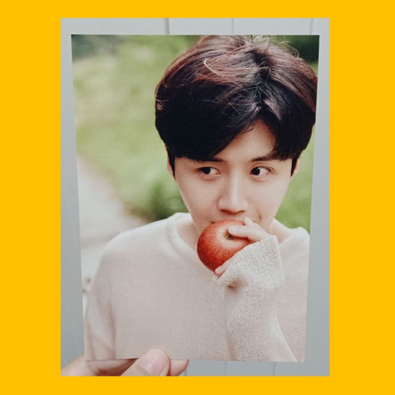 Jual Kim Seon Ho Postcard From 2023 Photo Exhibition Our Season Kim Seonho Official 2279