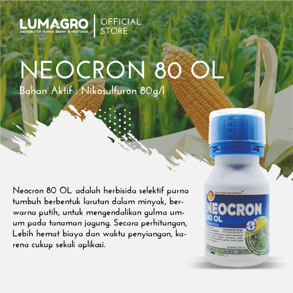 Jual Herbisida Neocron 80 OL 250ml Nikosulfuron Obat Selektif ...
