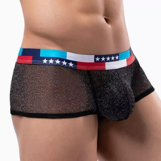 Sexy Underwear Thong Men Fun Underpants Thong Gay Transparent