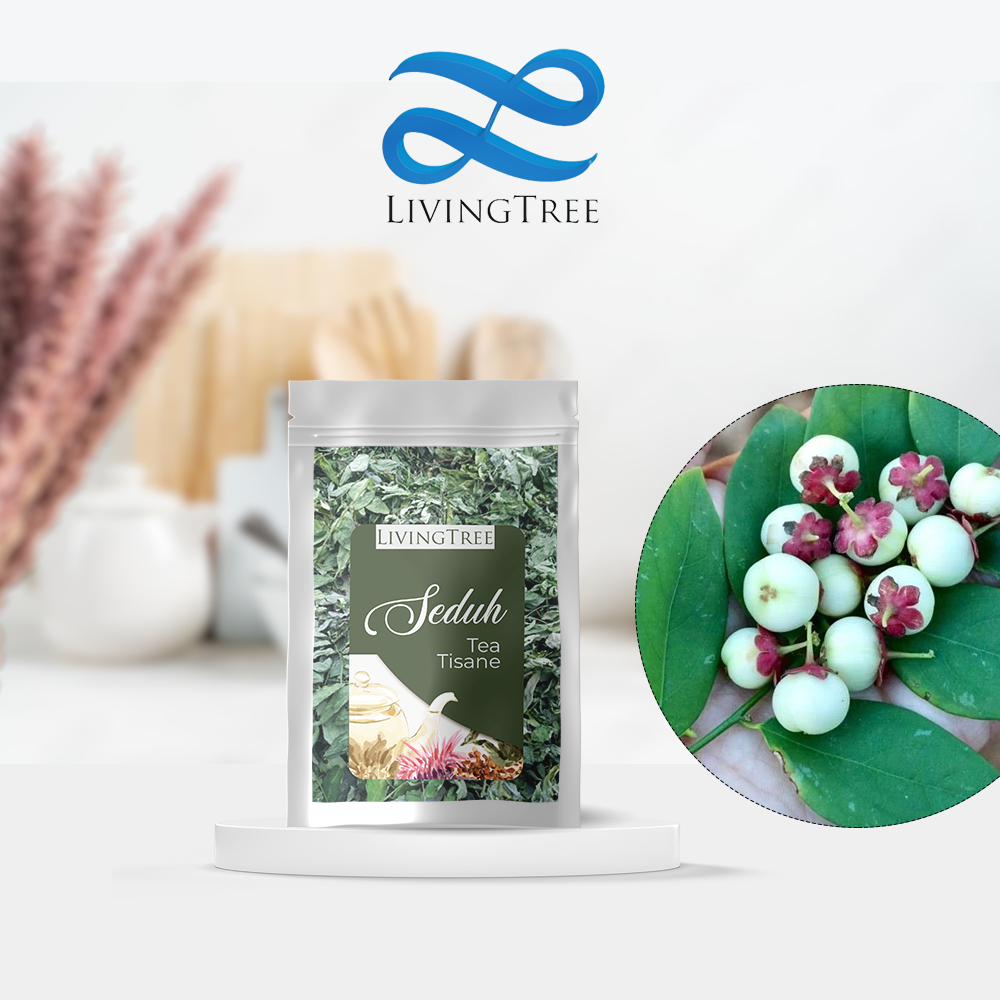 Jual Teh Daun Katuk 10gr / Katuk Leaf Tea / Teh Pelancar ASI | Shopee ...