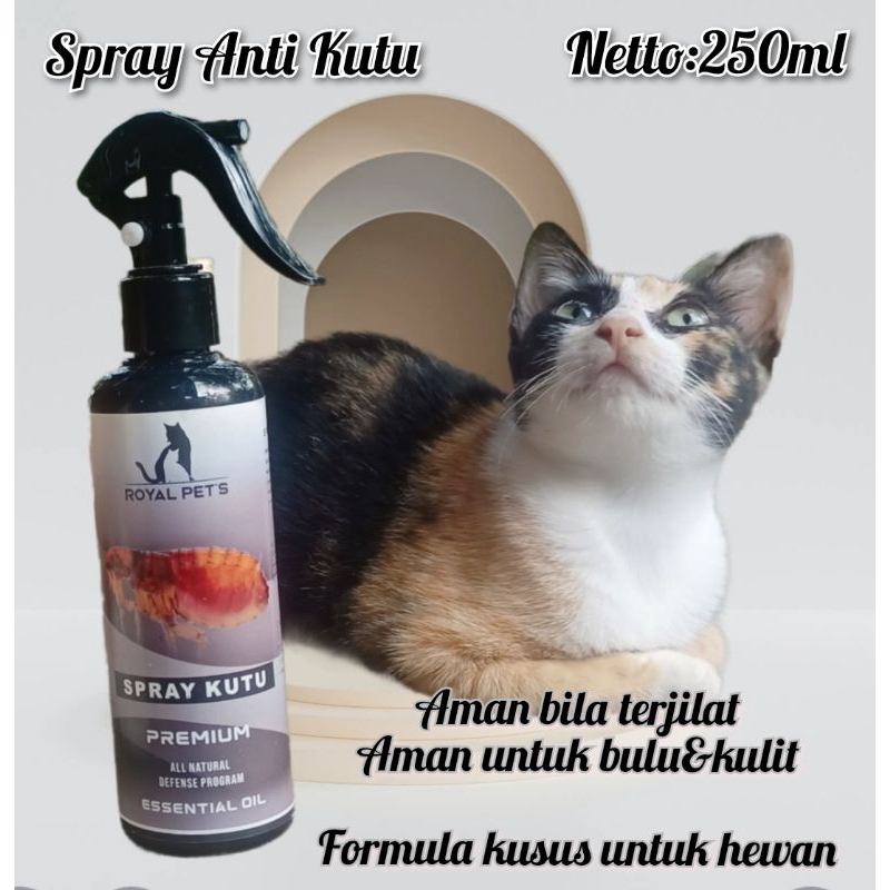 Jual OBAT KUTU kucing Spray Anti kutu ampuh 250ML Spray kutu KUCING