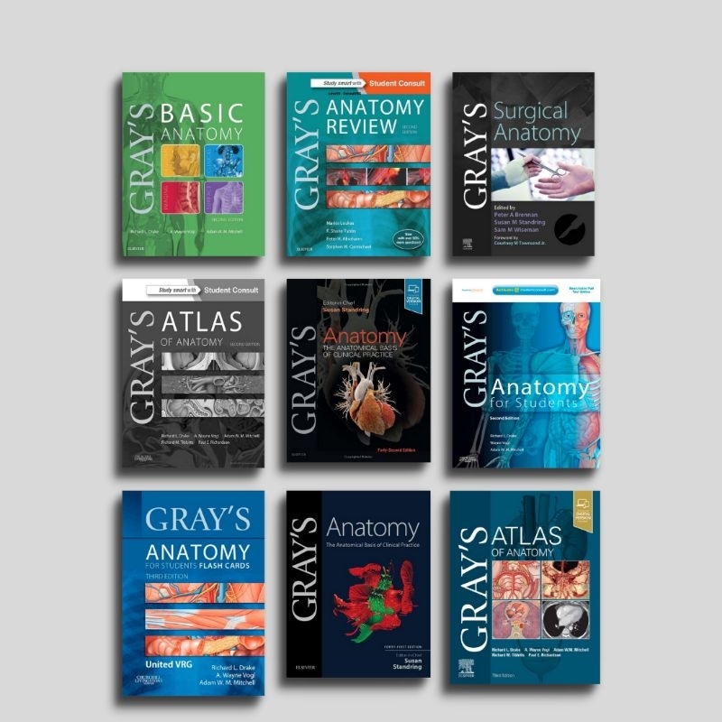 Jual Bundle Grays Anatomy The Anatomical Basis Of Clinical Shopee Indonesia