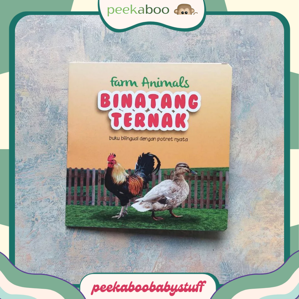 Jual MINI BOOK BINATANG (MBB) Buku Bilingual Dengan Potret Nyata ...