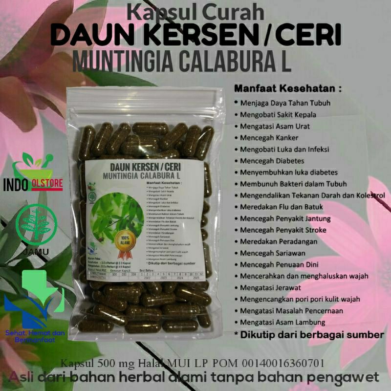 Jual Daun Kersen 100 Kapsul Obat Herbal Terbaik Topp Seller Premium