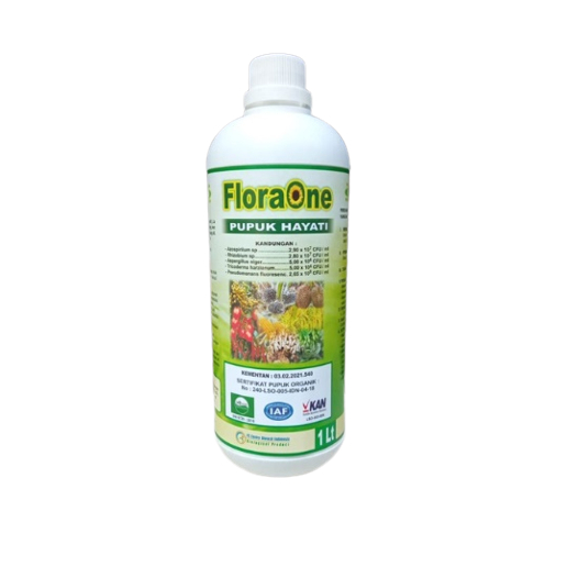 Jual Flora One Pupuk Pgpr Rhizobium Sp Cair Fungisida Hayati Cair