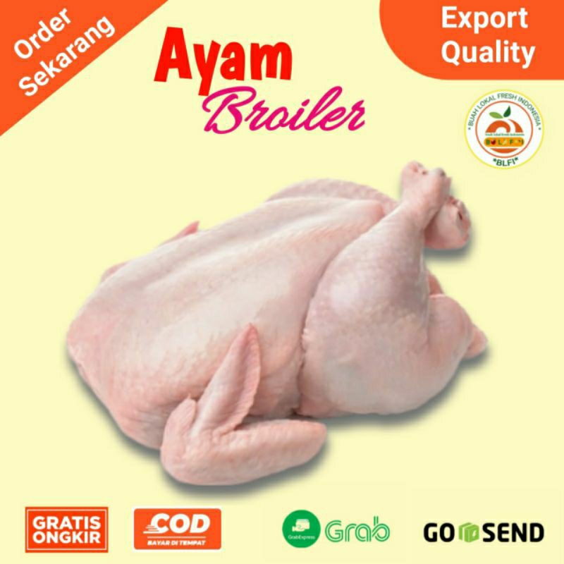 Jual Ayam Broiler Karkas Ayam Utuh Tanpa Kepala Leher Size 0 8 1kg