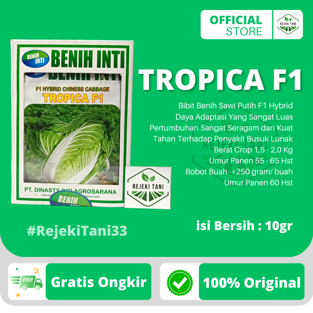 Jual Bibit Benih Biji Sawi Putih Tropica F Gr Pertumbuhan Seragam