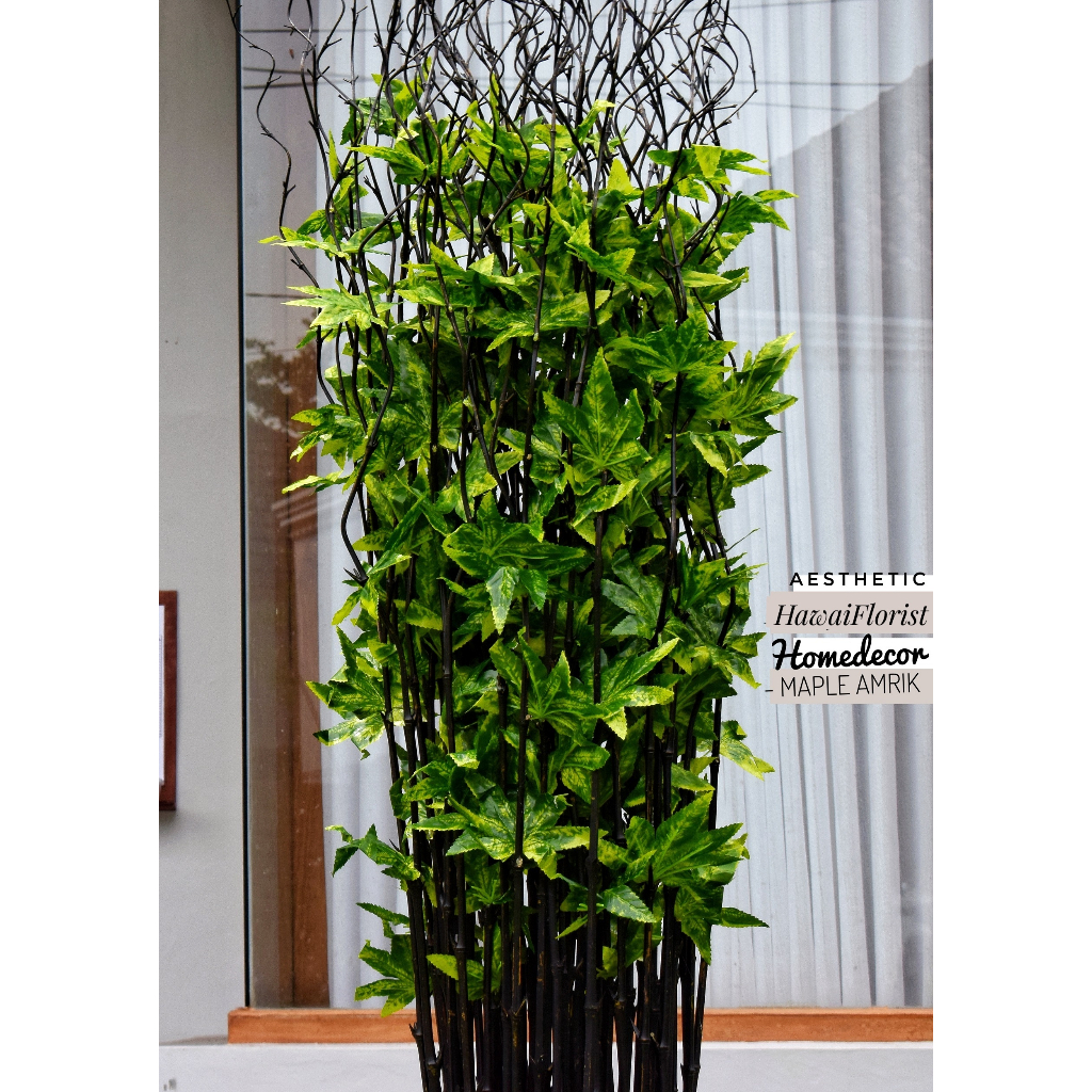 Jual Perlengkapan Rumah Bunga Dekorasi 10 Btg Bambu Ulir Hitam Maple ...