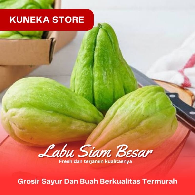 Jual LABU SIAM SEGAR BESAR FRESH 500 GR | Shopee Indonesia