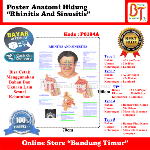 Jual POSTER ANATOMI HIDUNG - RHINITIS AND SINUSITIS | Shopee Indonesia
