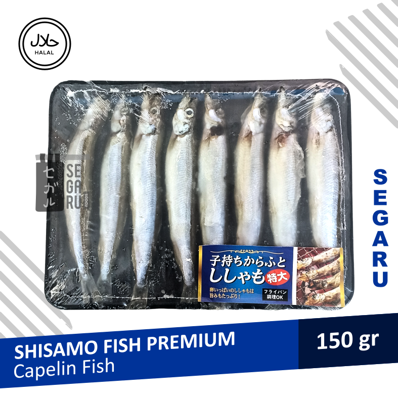 Jual Ikan Shisamo Fish | Capelin Fish Premium Import Frozen | Shopee ...