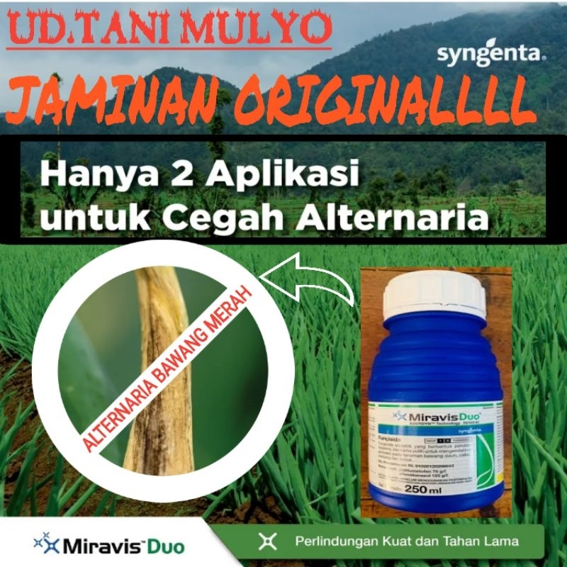 Jual MIRAVIS DUO 250 ML | Shopee Indonesia
