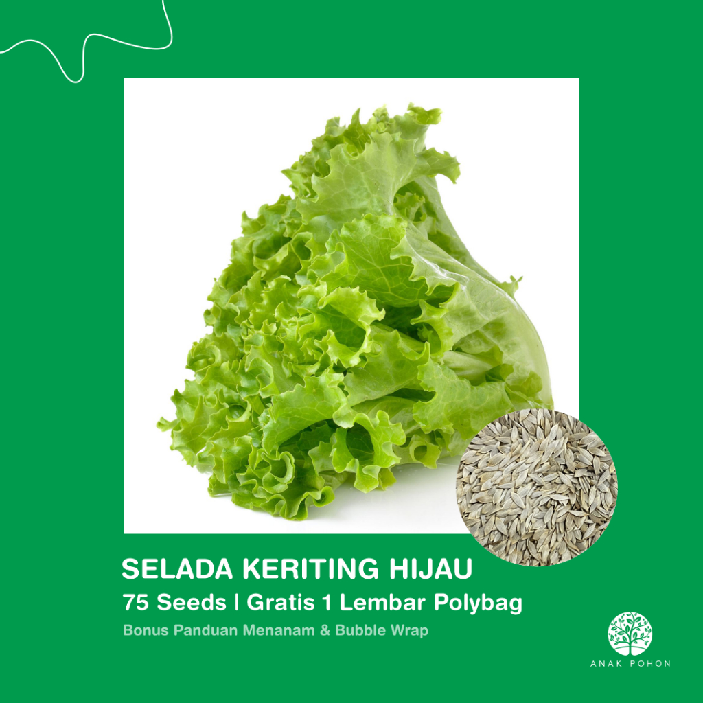 Jual SERBA SERIBU - Benih Bibit Biji - Paket Benih Sayuran DAUN ...