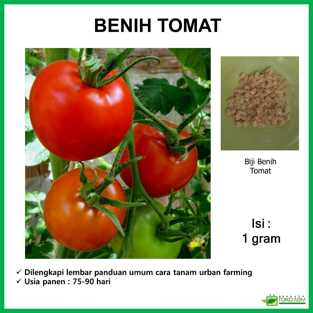 Jual Benih Biii Sayuran Tomat Sayur Kemasan Repack Urban Farming Shopee Indonesia