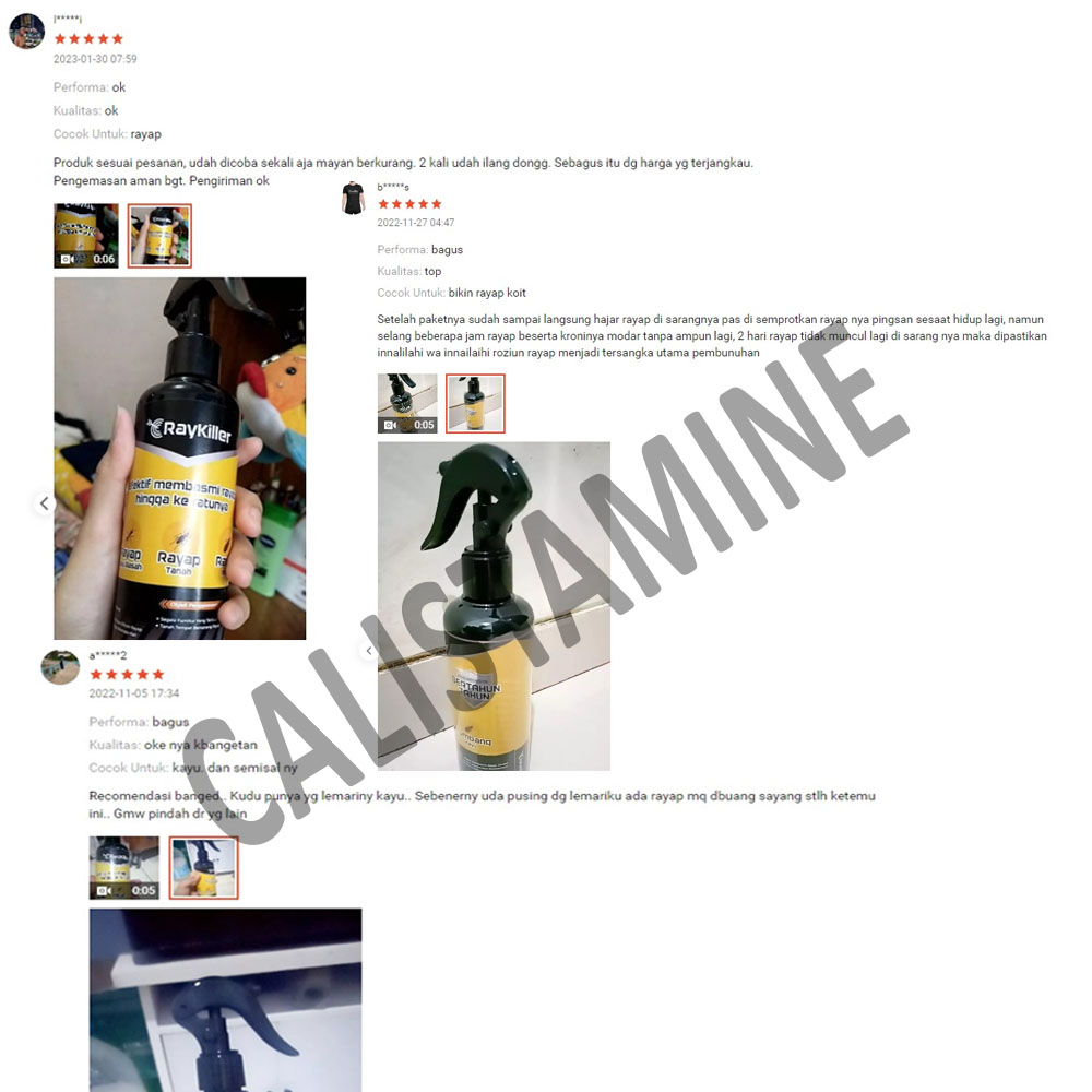 Jual PAKET Pembasmi Serangga - RayKiller Pembasmi Rayap dan ...