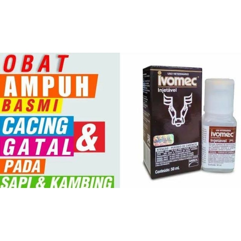 Produk cegi2hf0jx | Shopee Indonesia