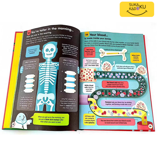 英語絵本 Usborne 100 things to know 11セット 洋書（Jual