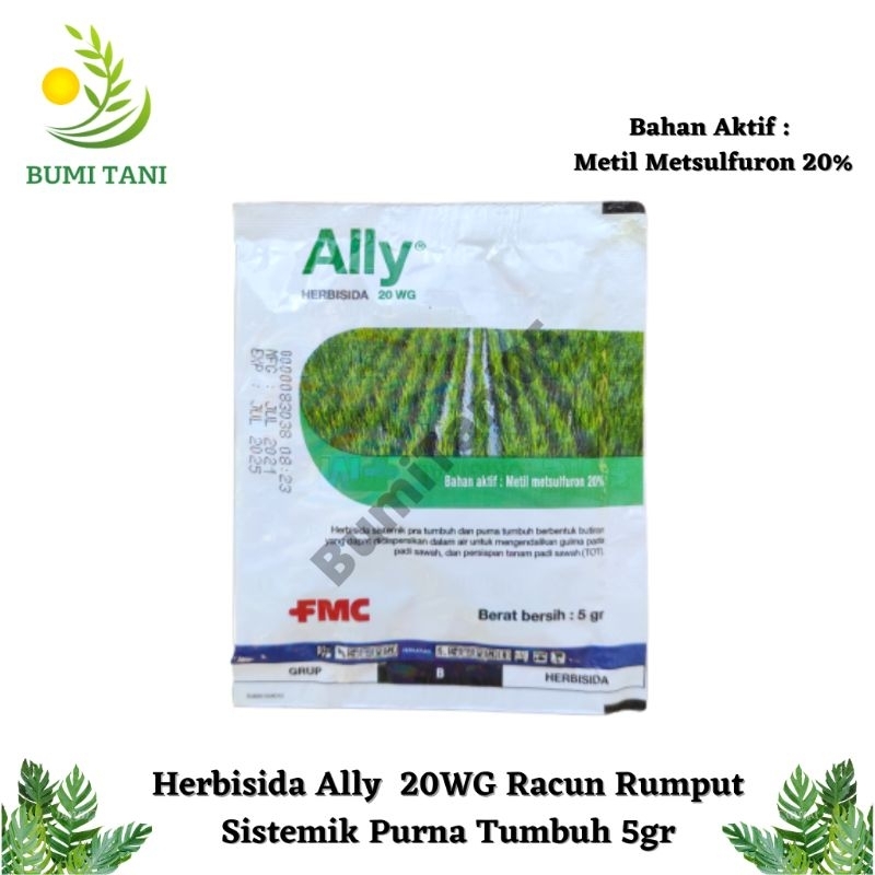 Jual Herbisida Ally 20WG Racun Rumput Selektif Purna Tumbuh 5gr ...