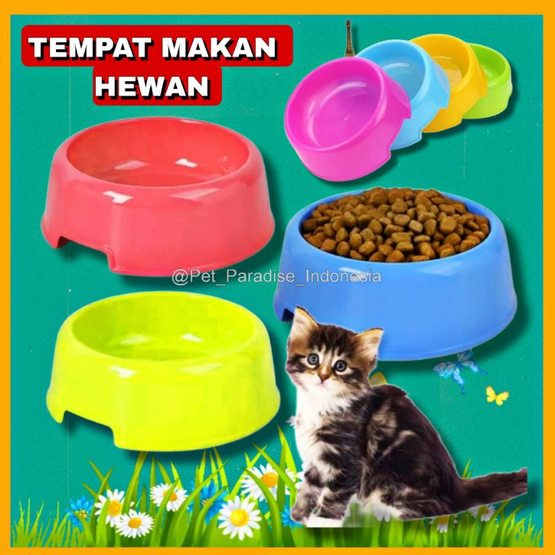 Jual PPI- Single Pet Bowl Tempat Makan Kucing Anjing Kelinci Musang ...