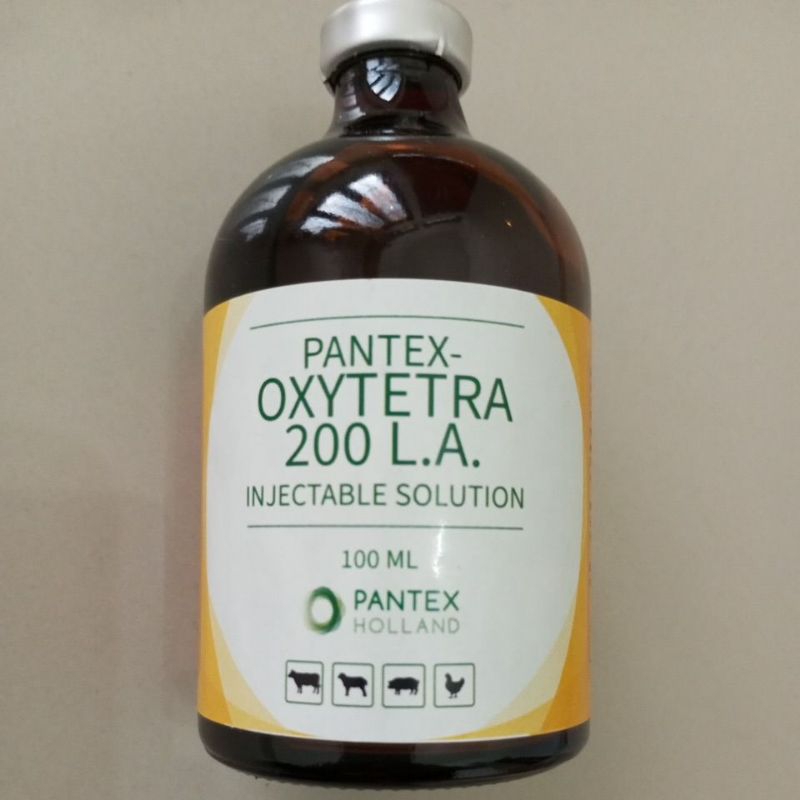 Jual PANTEX OXYTETRA 200 LA | Shopee Indonesia