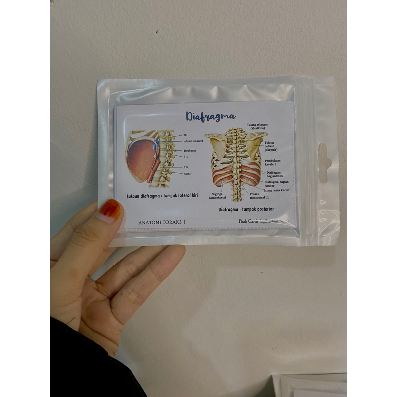 Jual Flashcards Biologi By Biology Student Notes | Shopee Indonesia