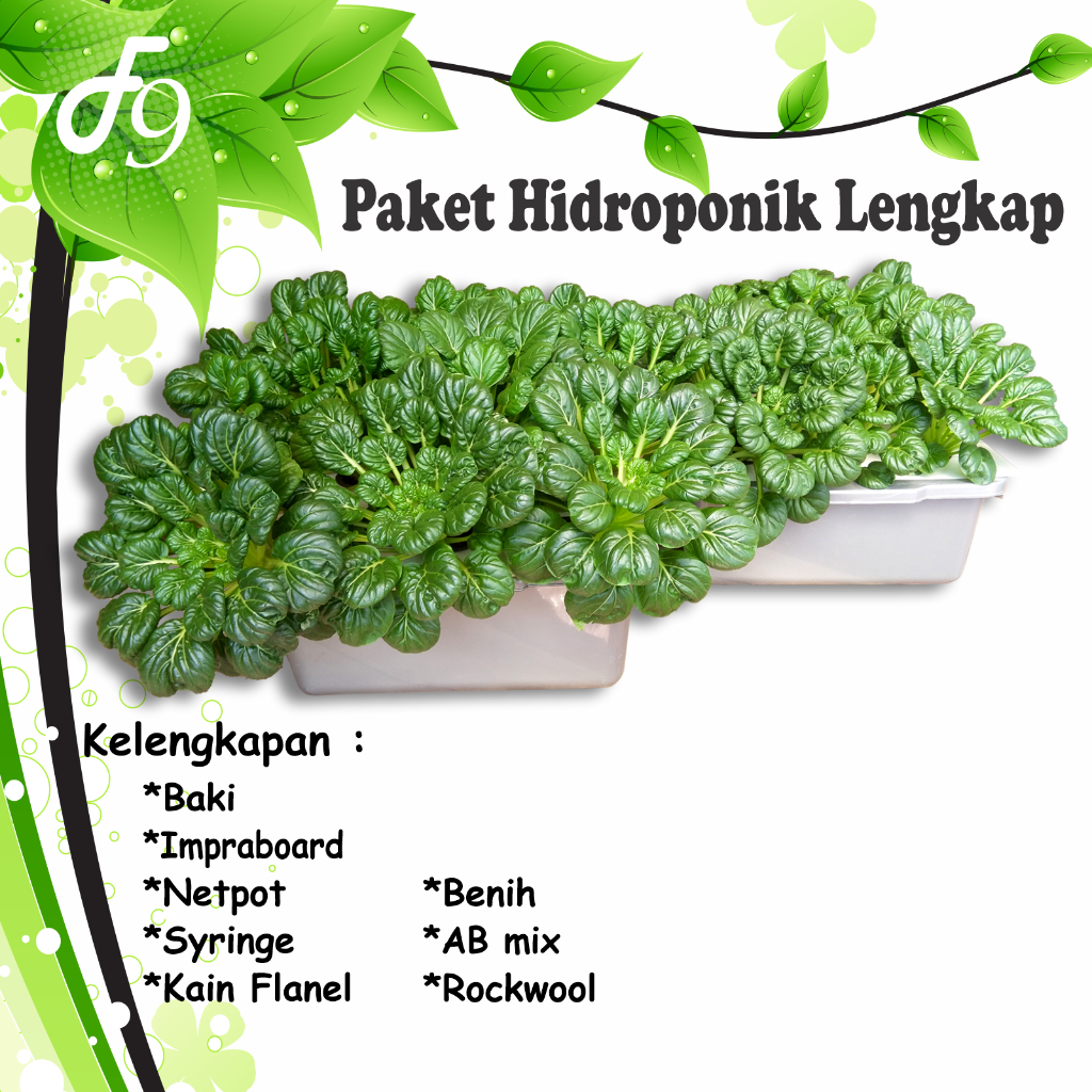 Paket Hidroponik Lengkap Pemula Sistem Wick Mudah & Hasil Berlimpah