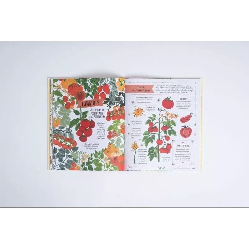 Jual GROW by Riz Reyes & ilustrated Sara Boccaccini | Shopee Indonesia