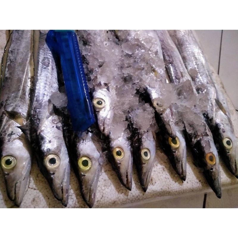 Jual Ikan Layur Segar Fresh 1Kg Hasil Tangkapan Nelayan Harian ...