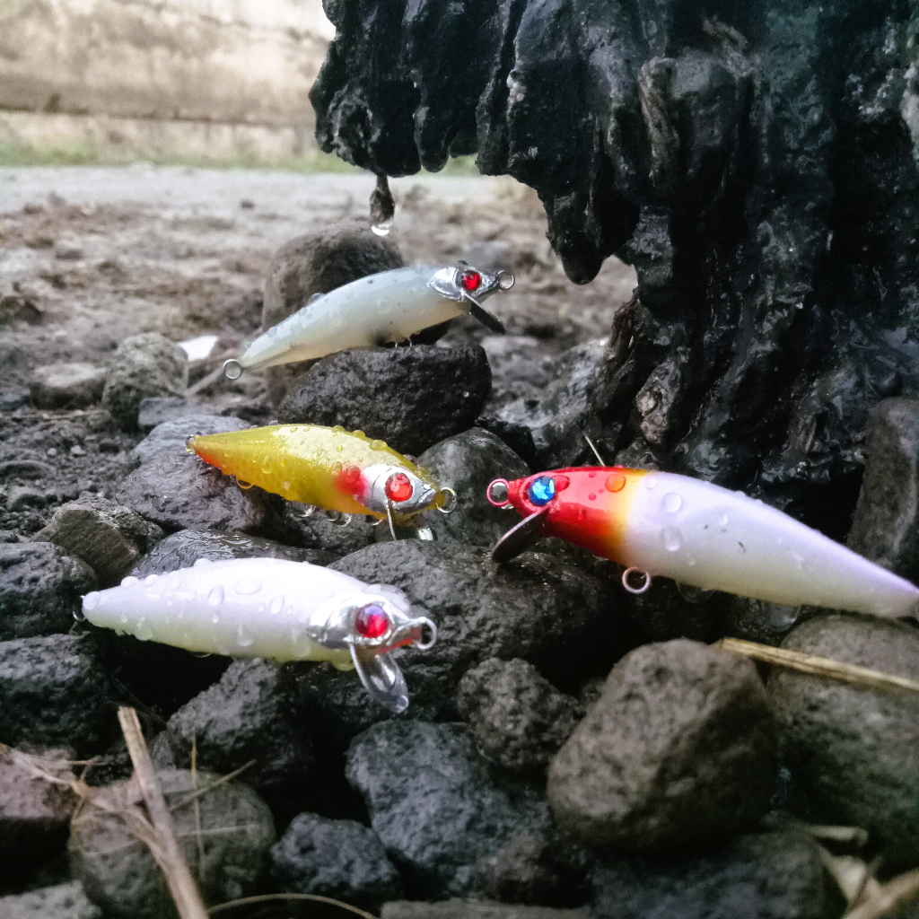 Jual Minnow 5 cm Umpan Pancing Casting Hampala Gabus Baby GT Kerapu