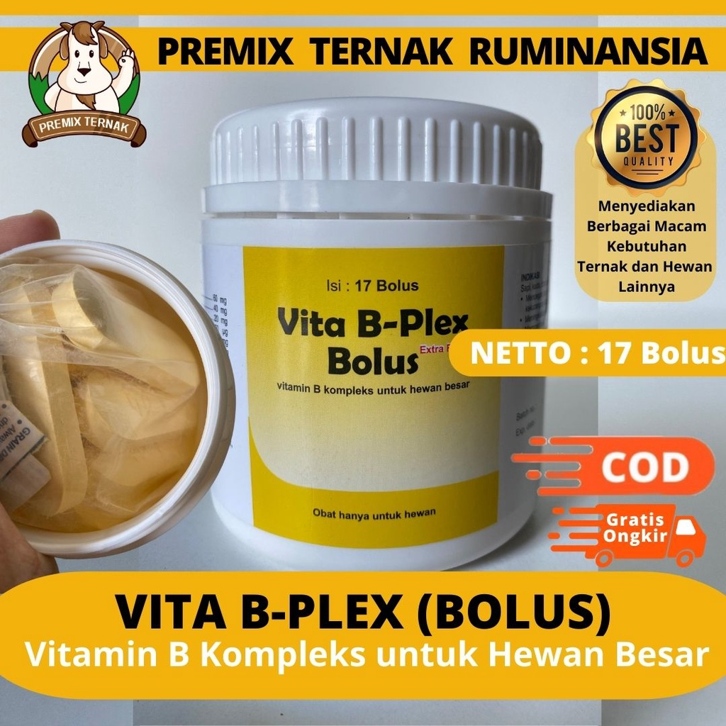 Jual VITA B-PLEK BOLUS MEDION (Per Bolus ) - Meningkatkan Nafsu Makan ...