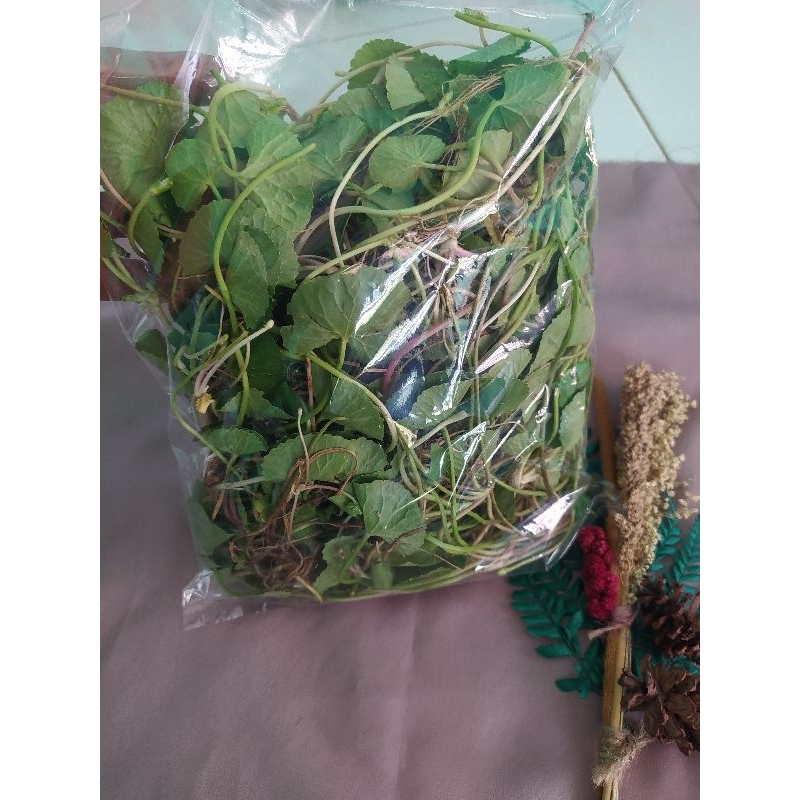 Jual Daun Pegangan Atau Antanan Besar Frest Kg Shopee Indonesia