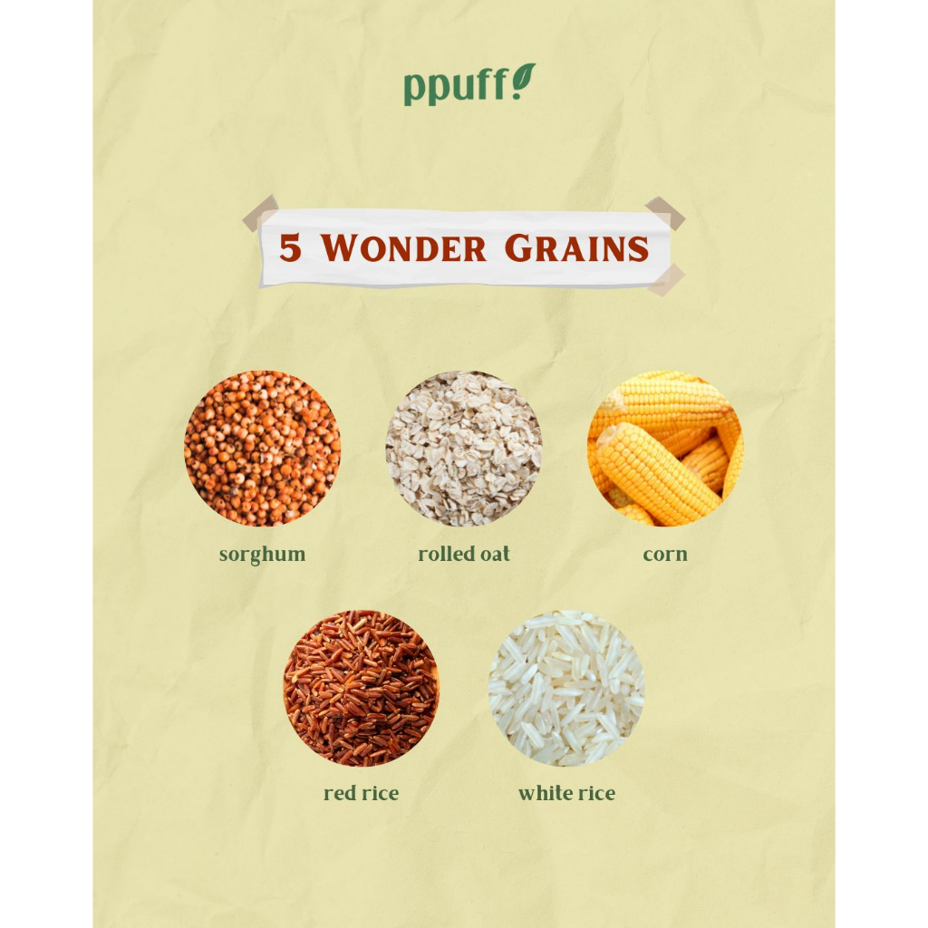Jual PPUFF WONDER GRAINS MULTIGRAIN CRACKERS BAKED LOW CALORIE HEALTHY ...