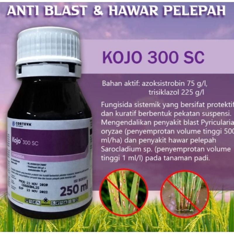 Jual Kojo Sc Fungisida Kemasan Baru Ungu Ml Shopee Indonesia