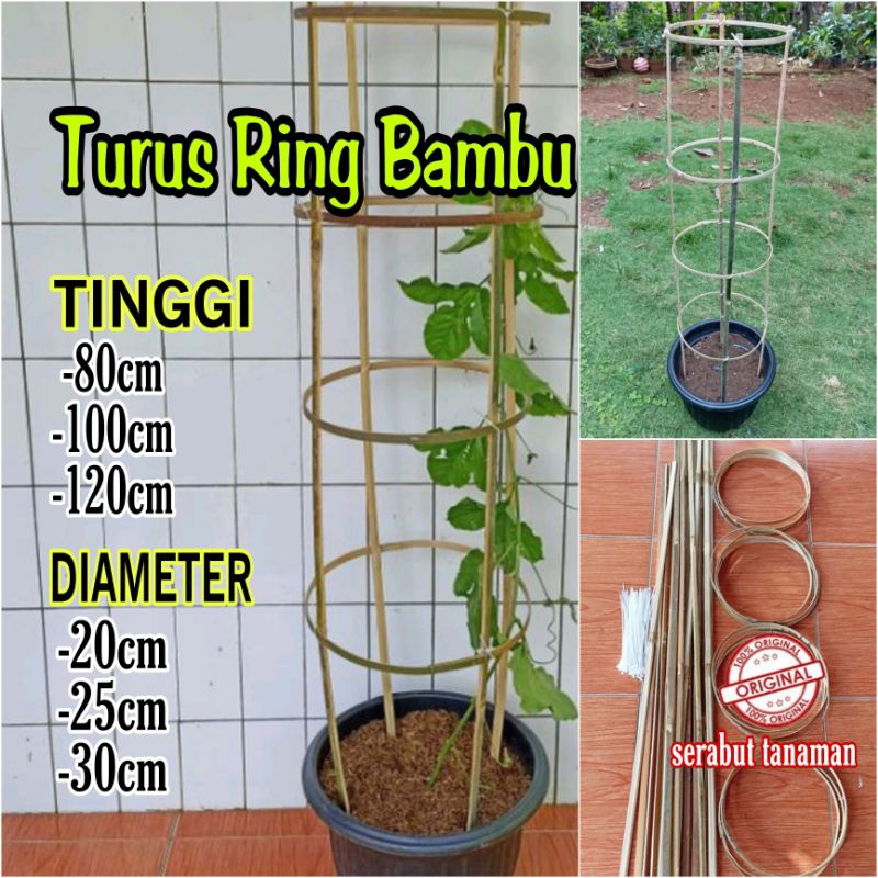 Jual Turus Bambu Melingkar 1 Setajir Penyangga Rambatan Tanaman Shopee Indonesia 1400