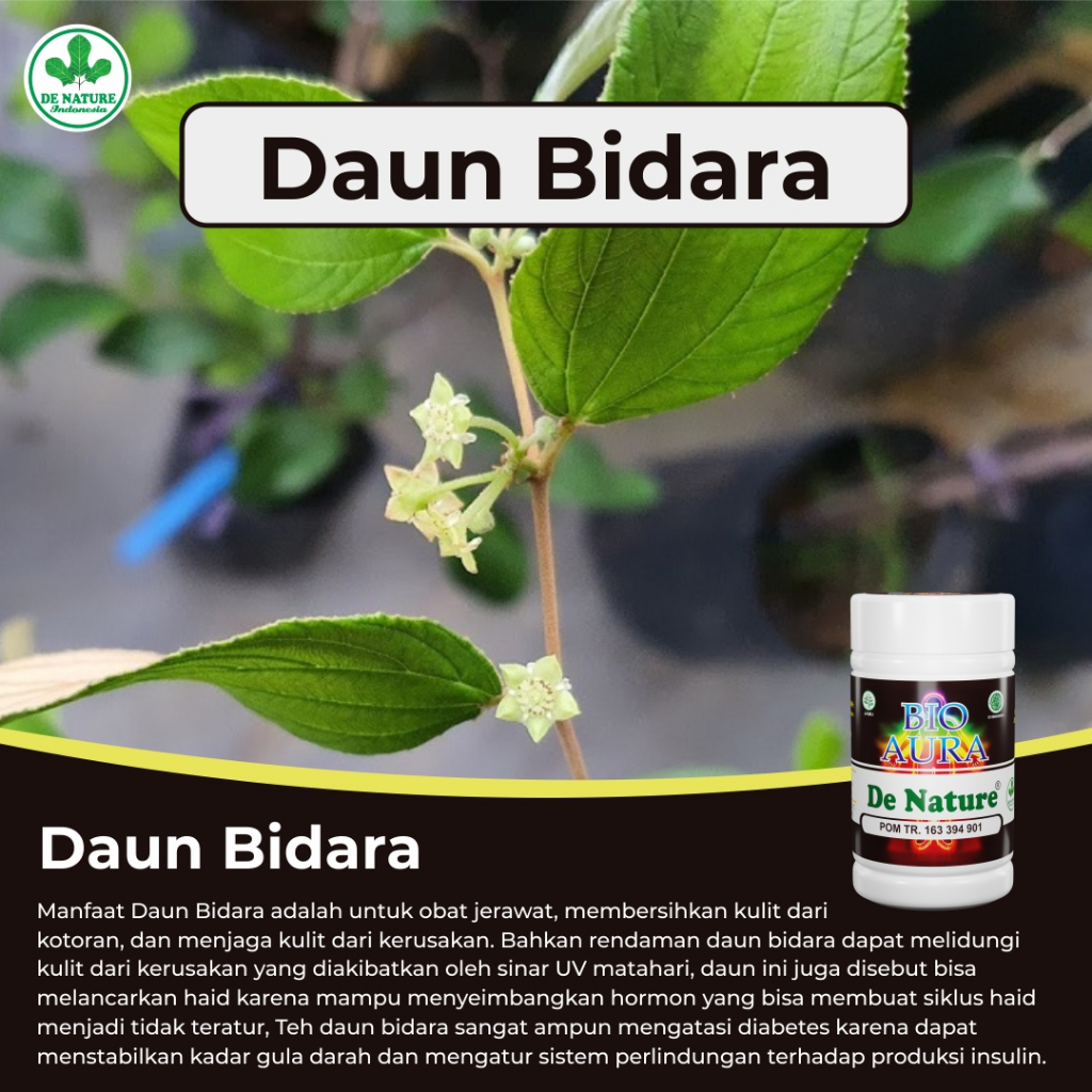 Jual Kapsul Bio Aura Ekstrak Daun Bidara Obat Herbal De Nature Asli ...