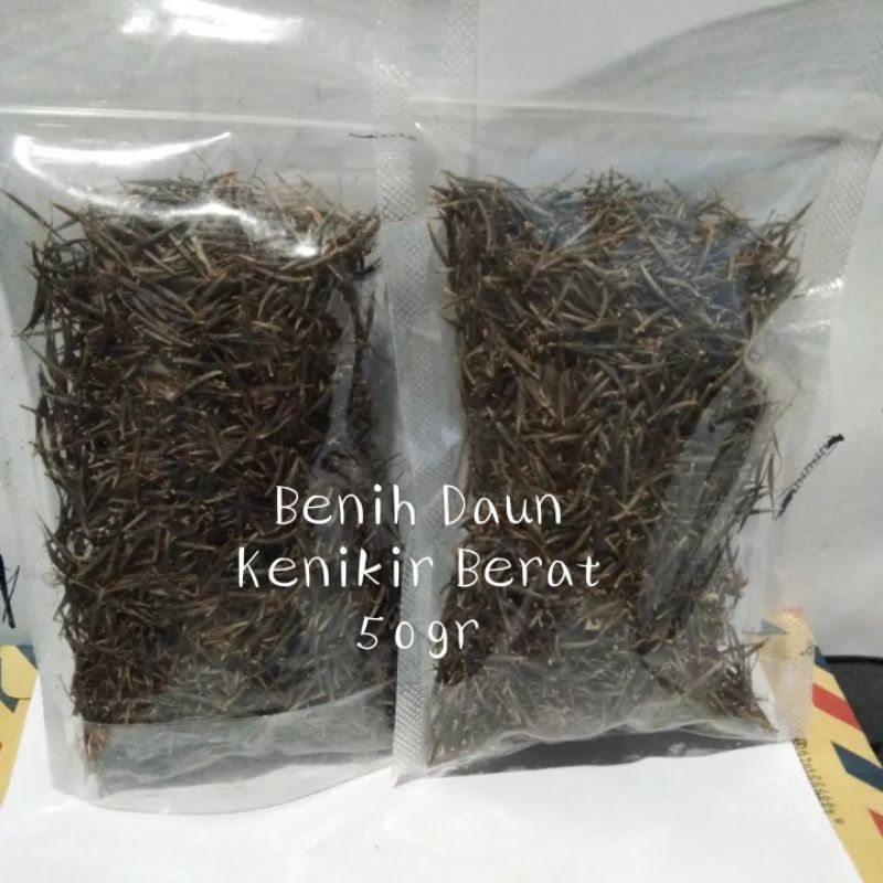 Jual Terlaris Bibit Benih Sayur Daun Kenikir Lalap Berat 50gr