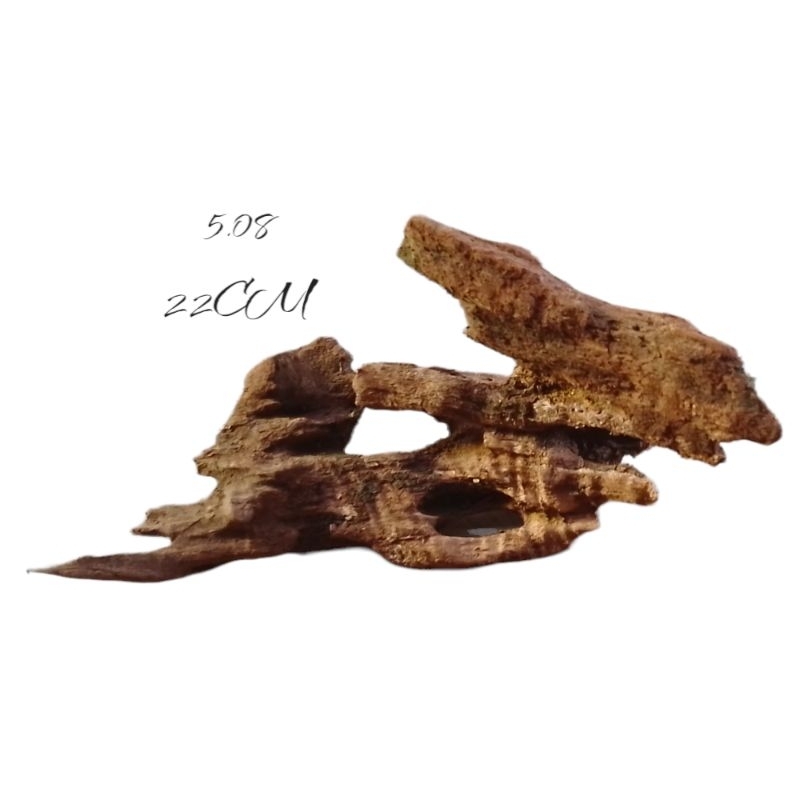 Jual Kayu Rentek Pranak Aquascape / Drift Wood Aquascape | Shopee Indonesia