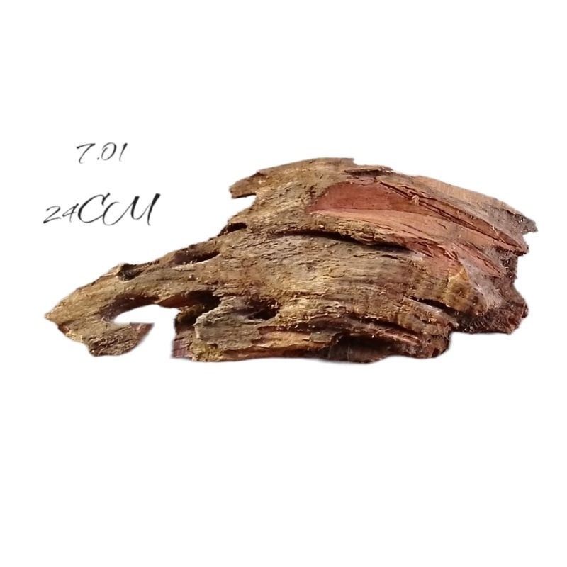Jual Kayu Rentek Pranak Aquascape / Drift Wood Aquascape | Shopee Indonesia